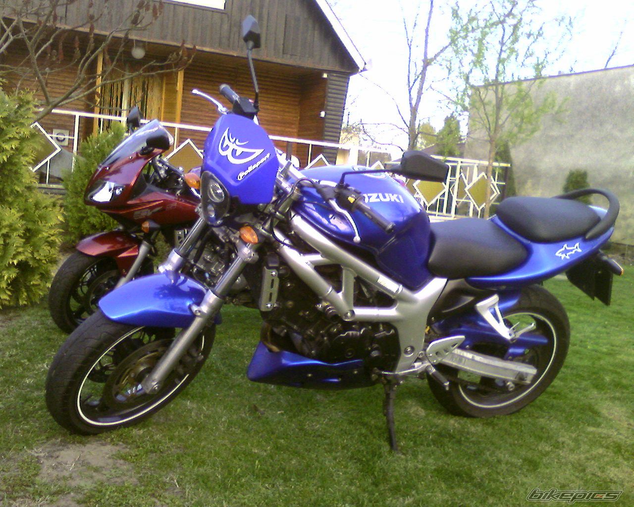 Photo 1283644