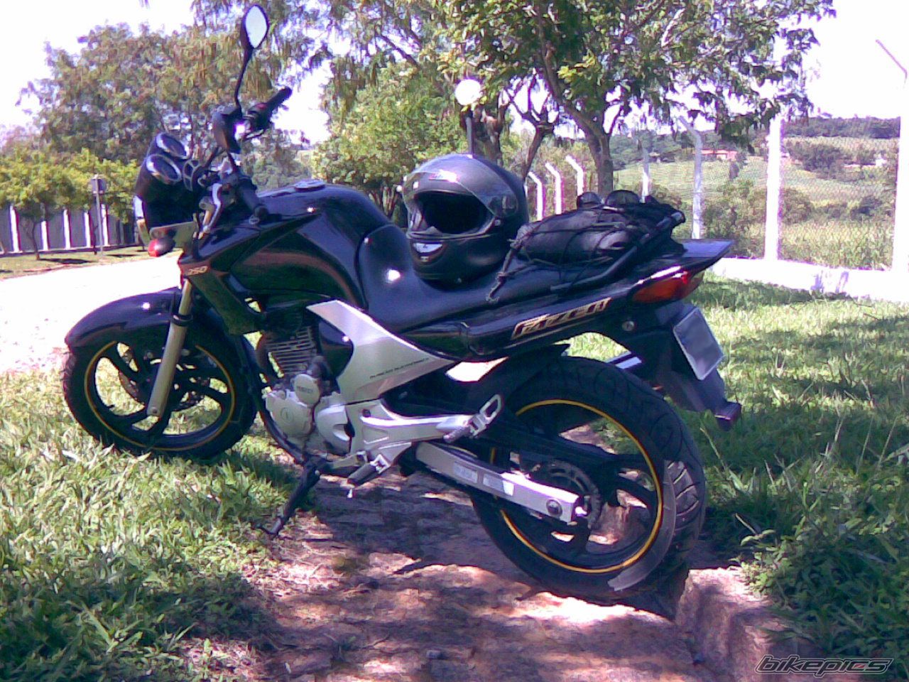 Photo 1283658