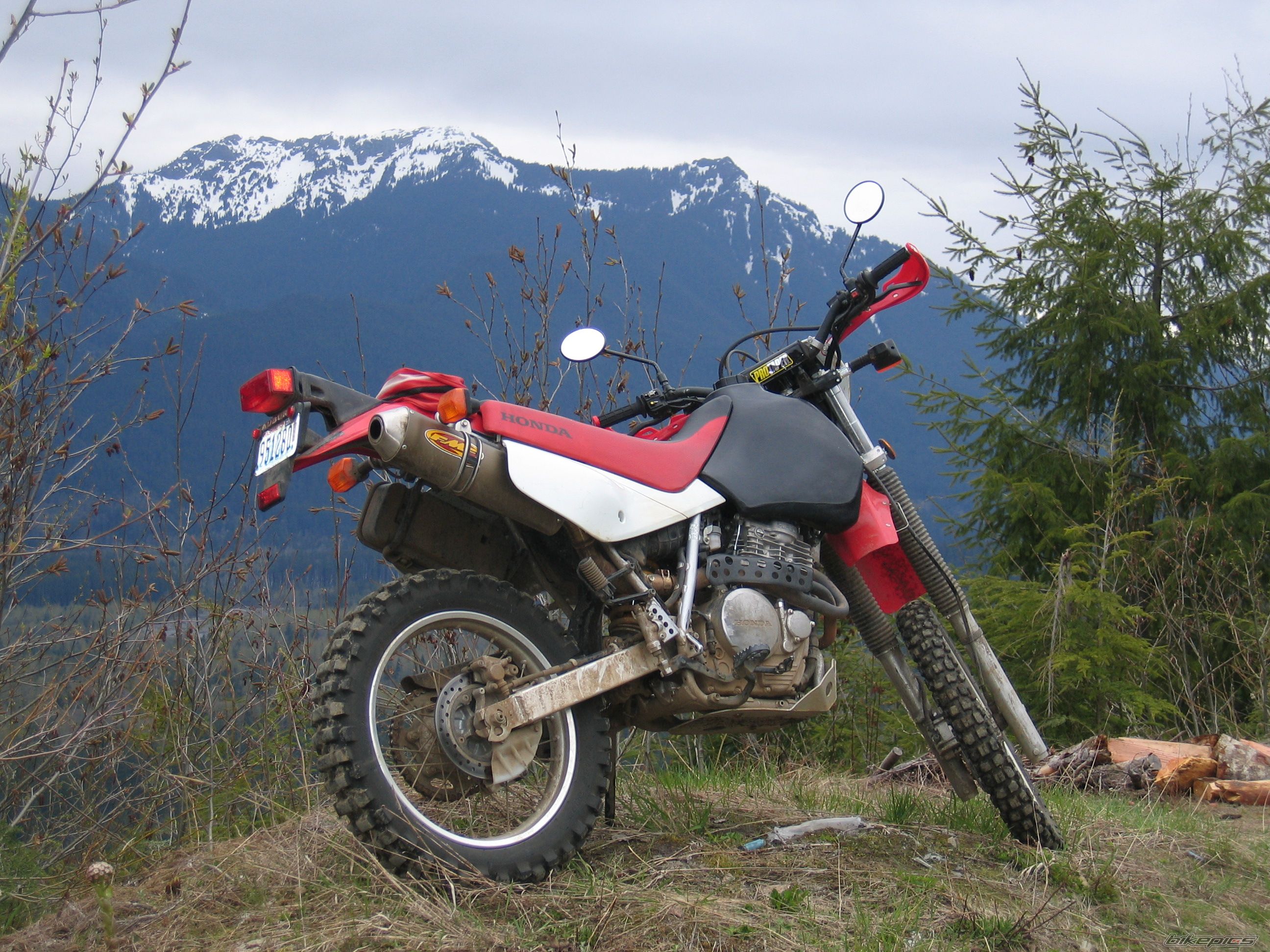 Photo 1283709