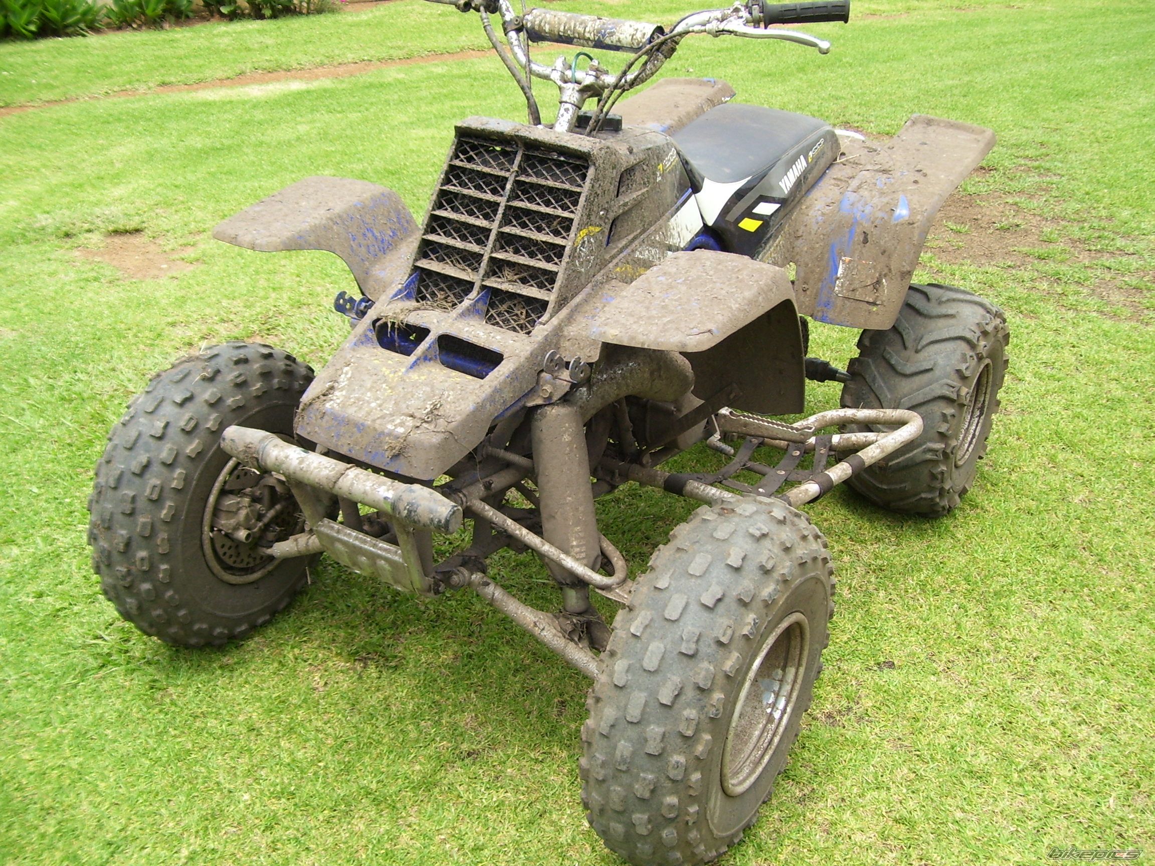 Photo 1283721