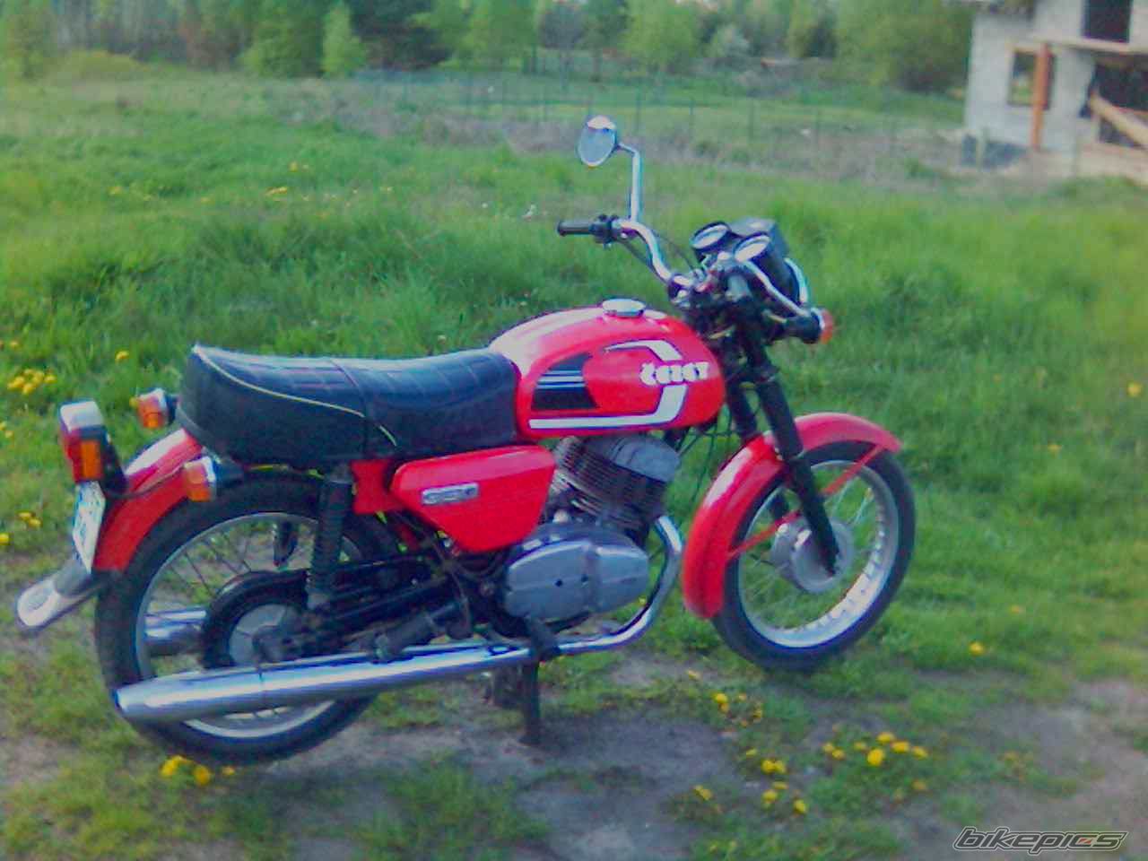 Photo 1283725
