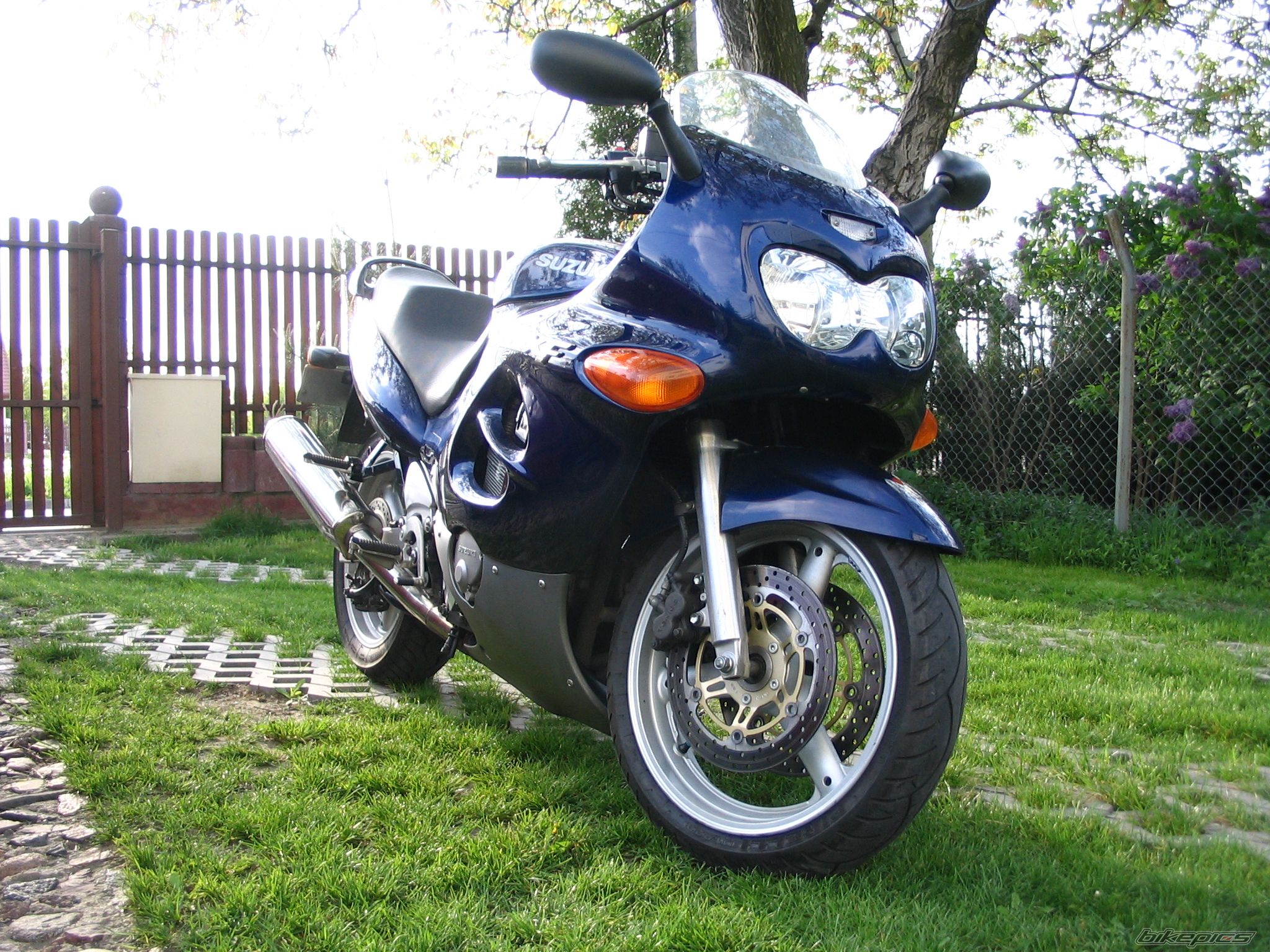 Photo 1283730