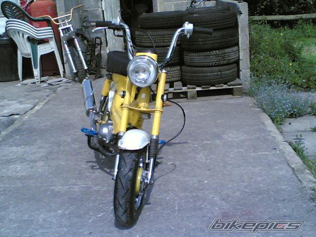 Photo 1283773