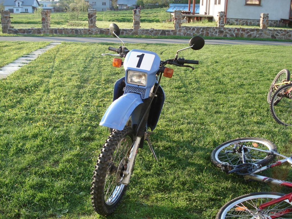 Photo 1283786