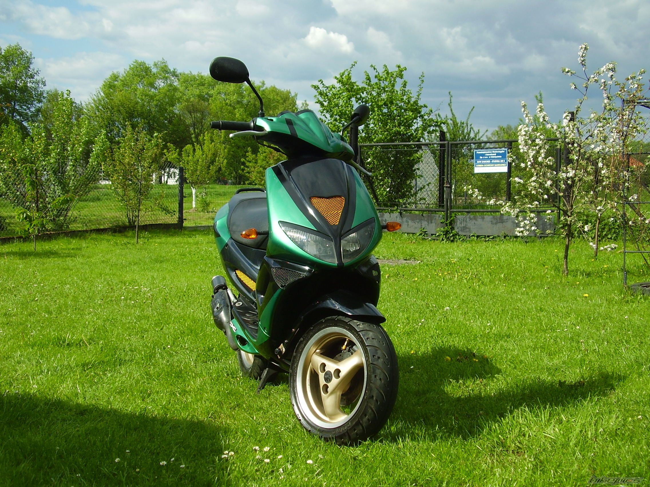 Photo 1283808