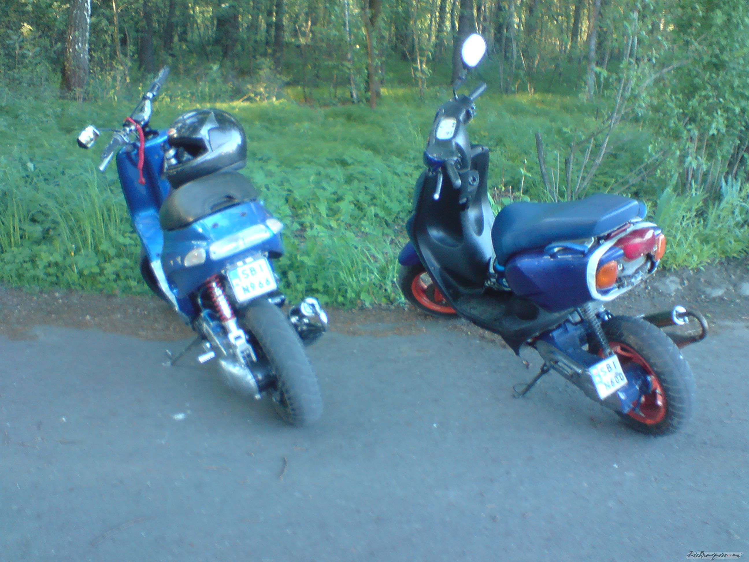 Photo 1283866
