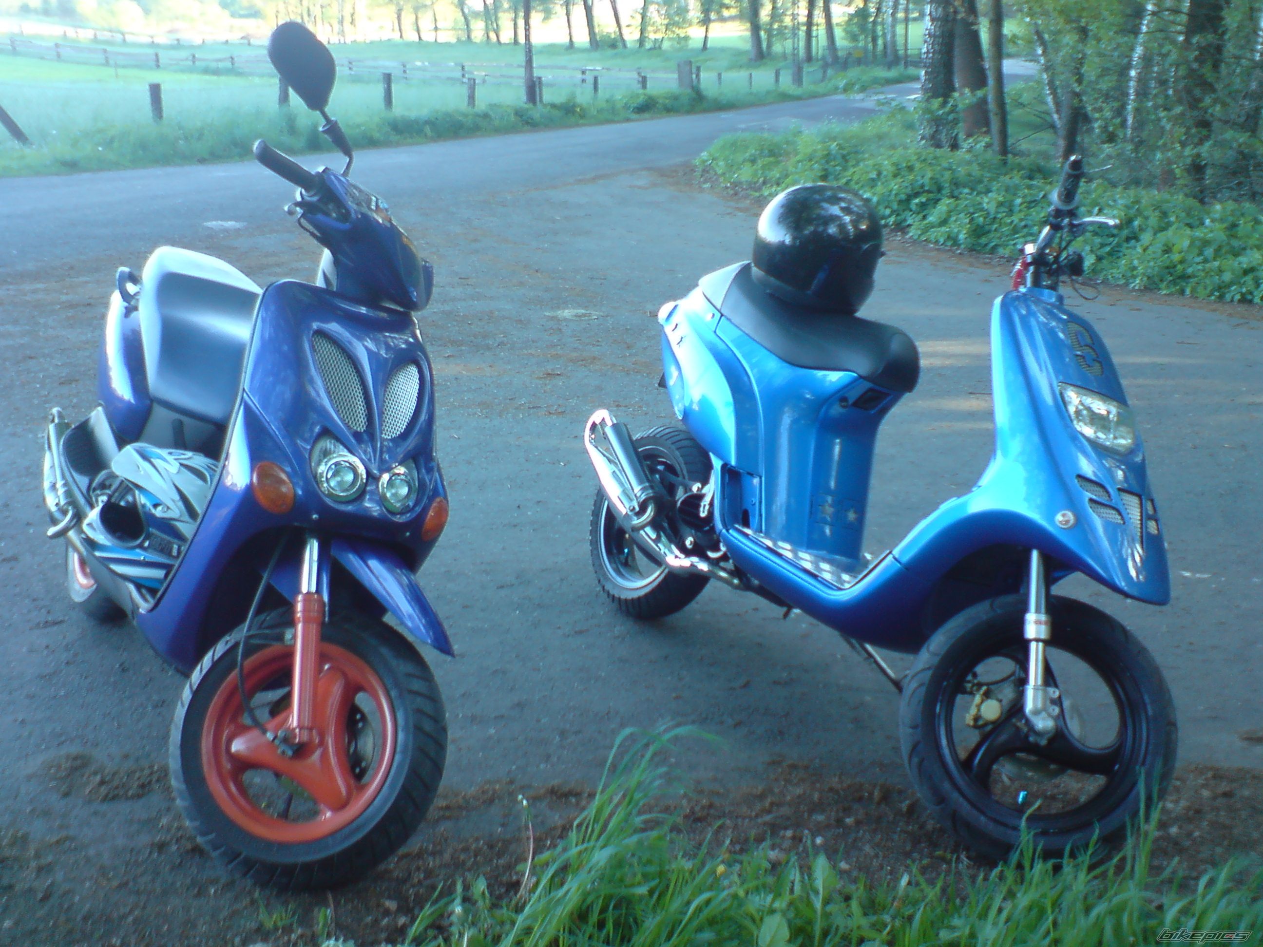 Photo 1283870