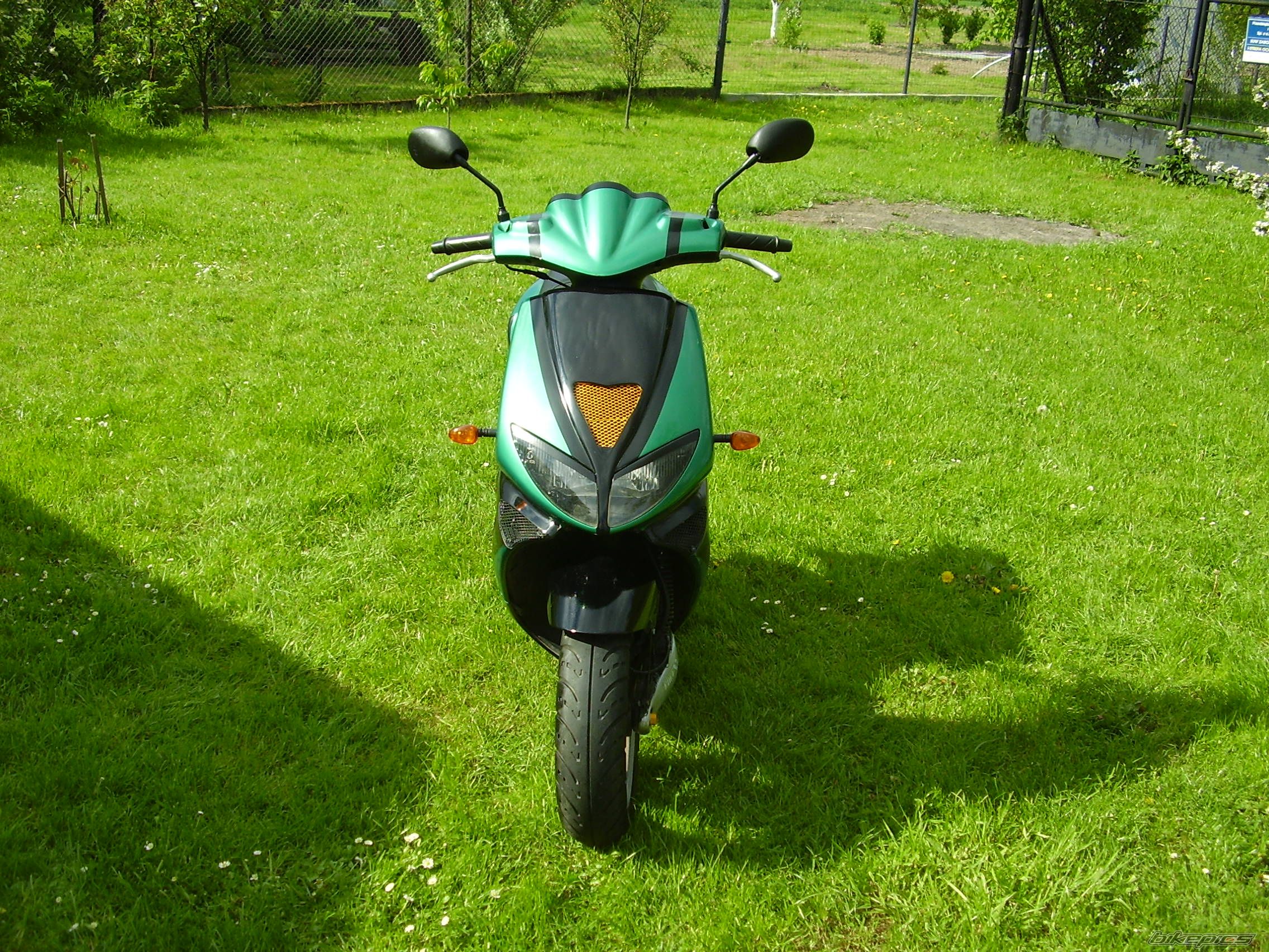 Photo 1283875