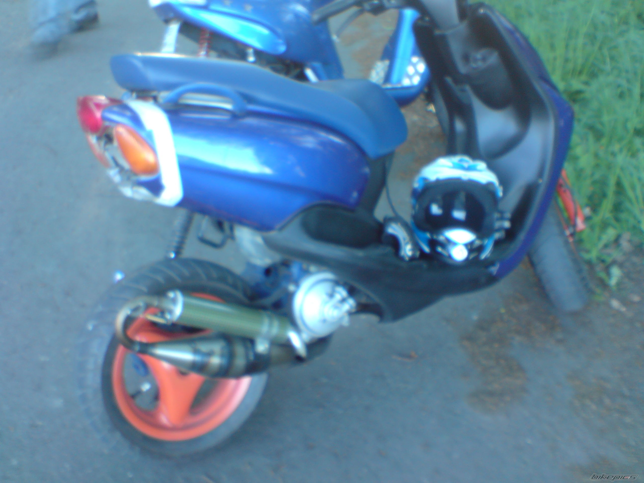 Photo 1283880