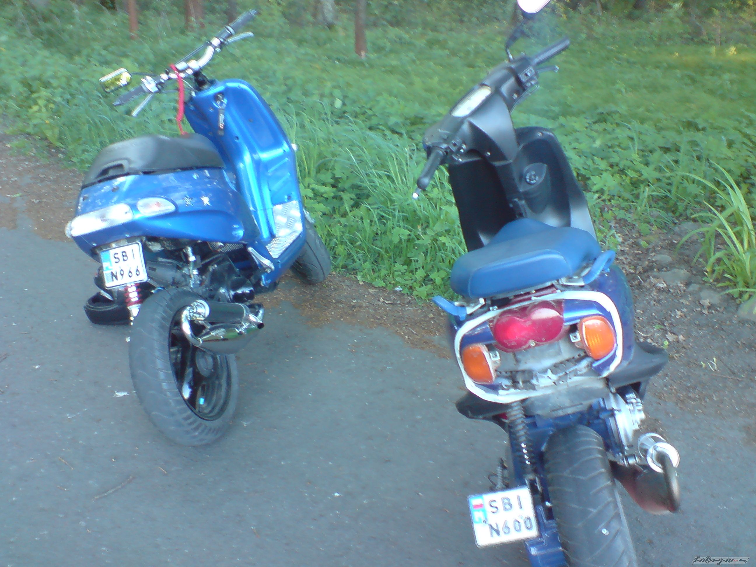 Photo 1283894