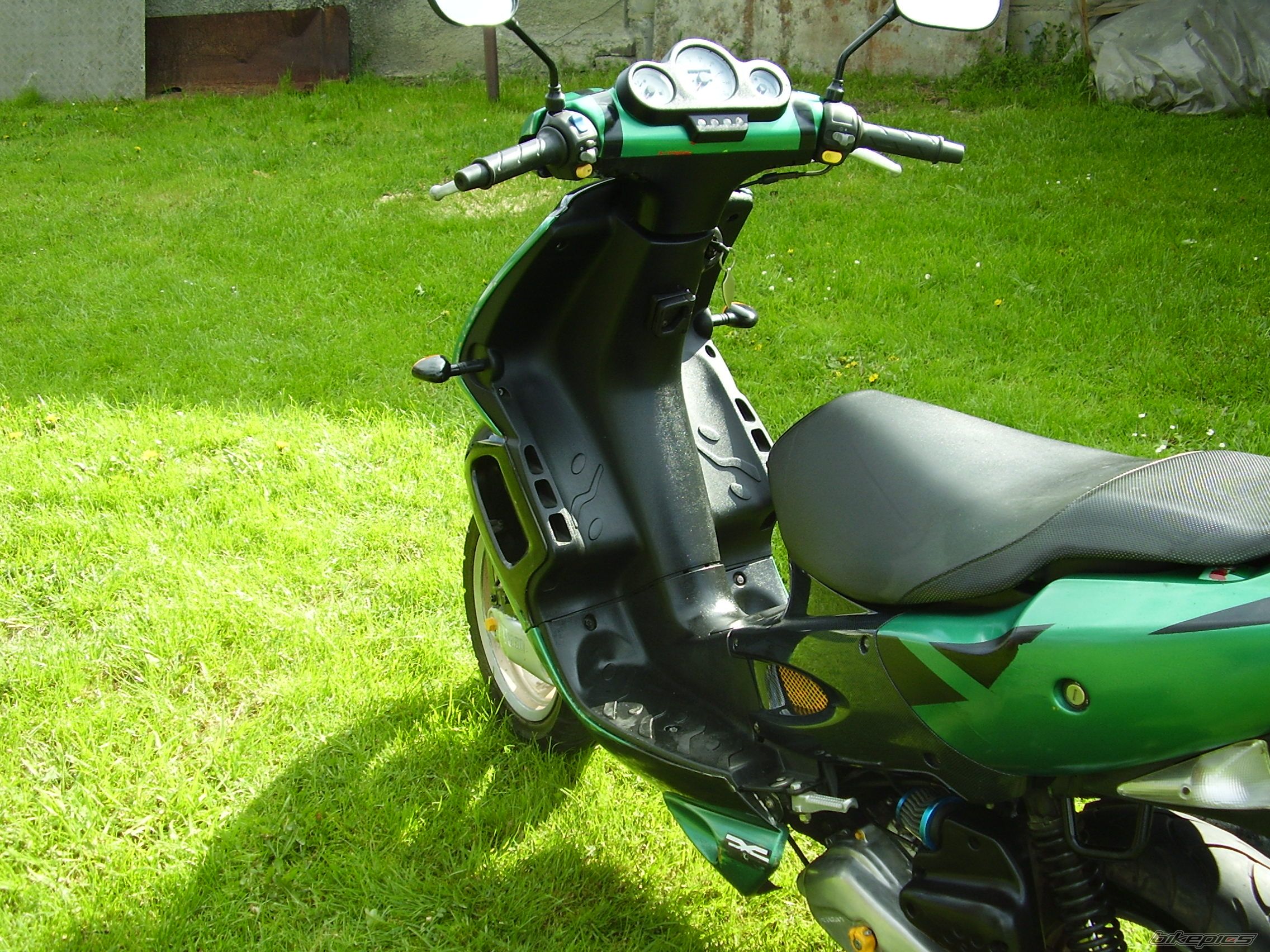 Photo 1283905