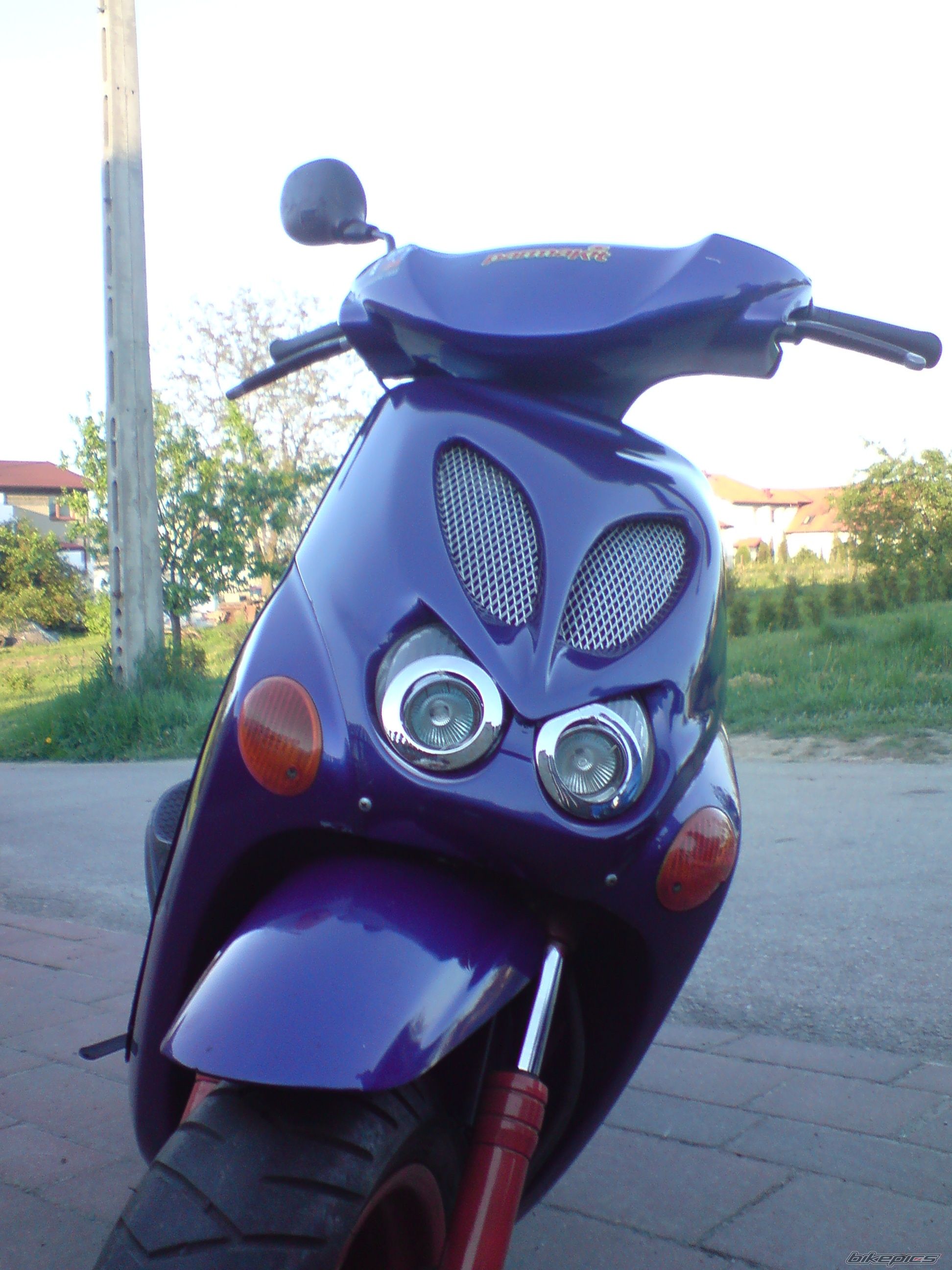 Photo 1283906