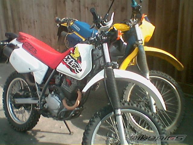Photo 128391