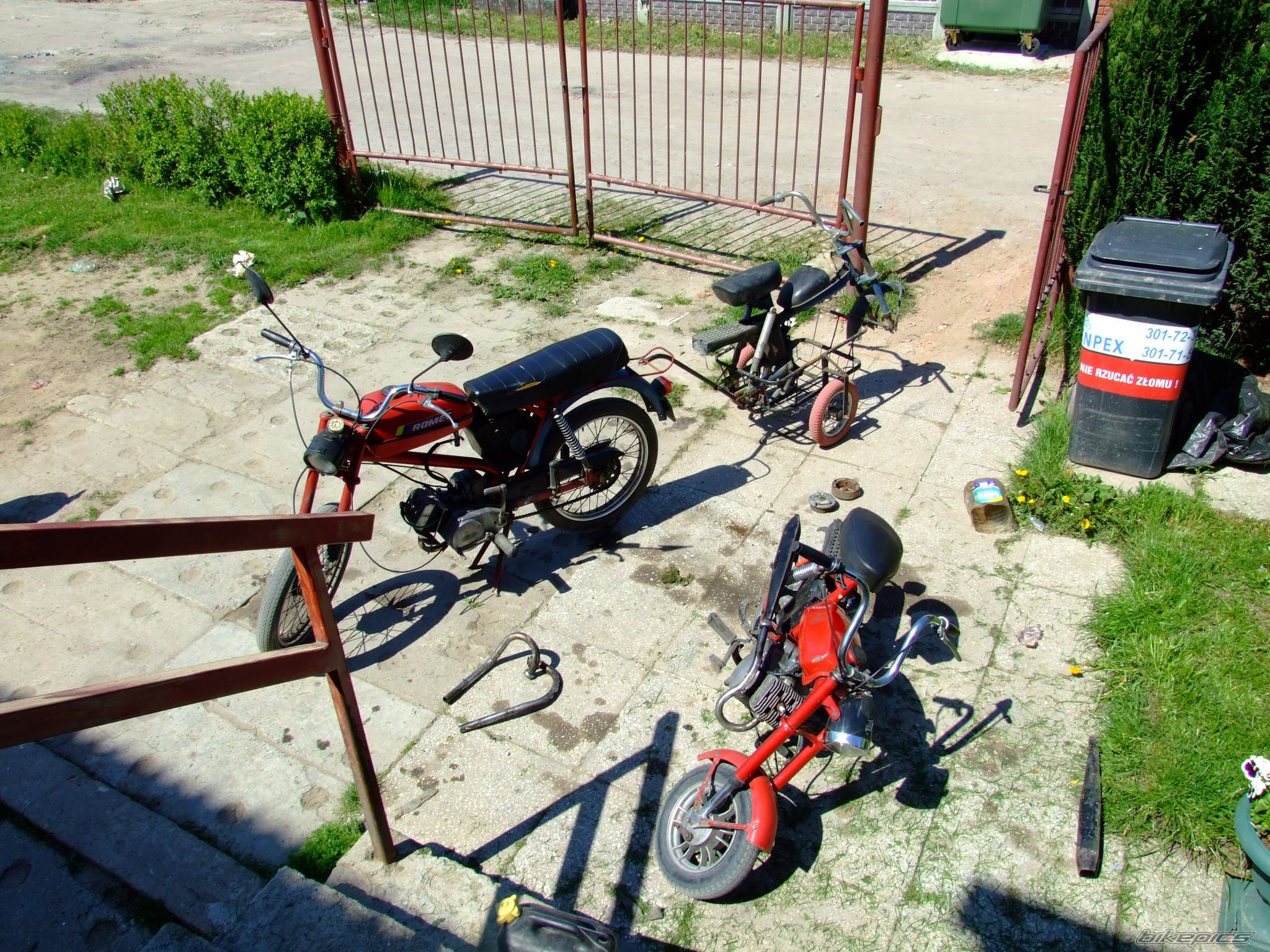 Photo 1283999