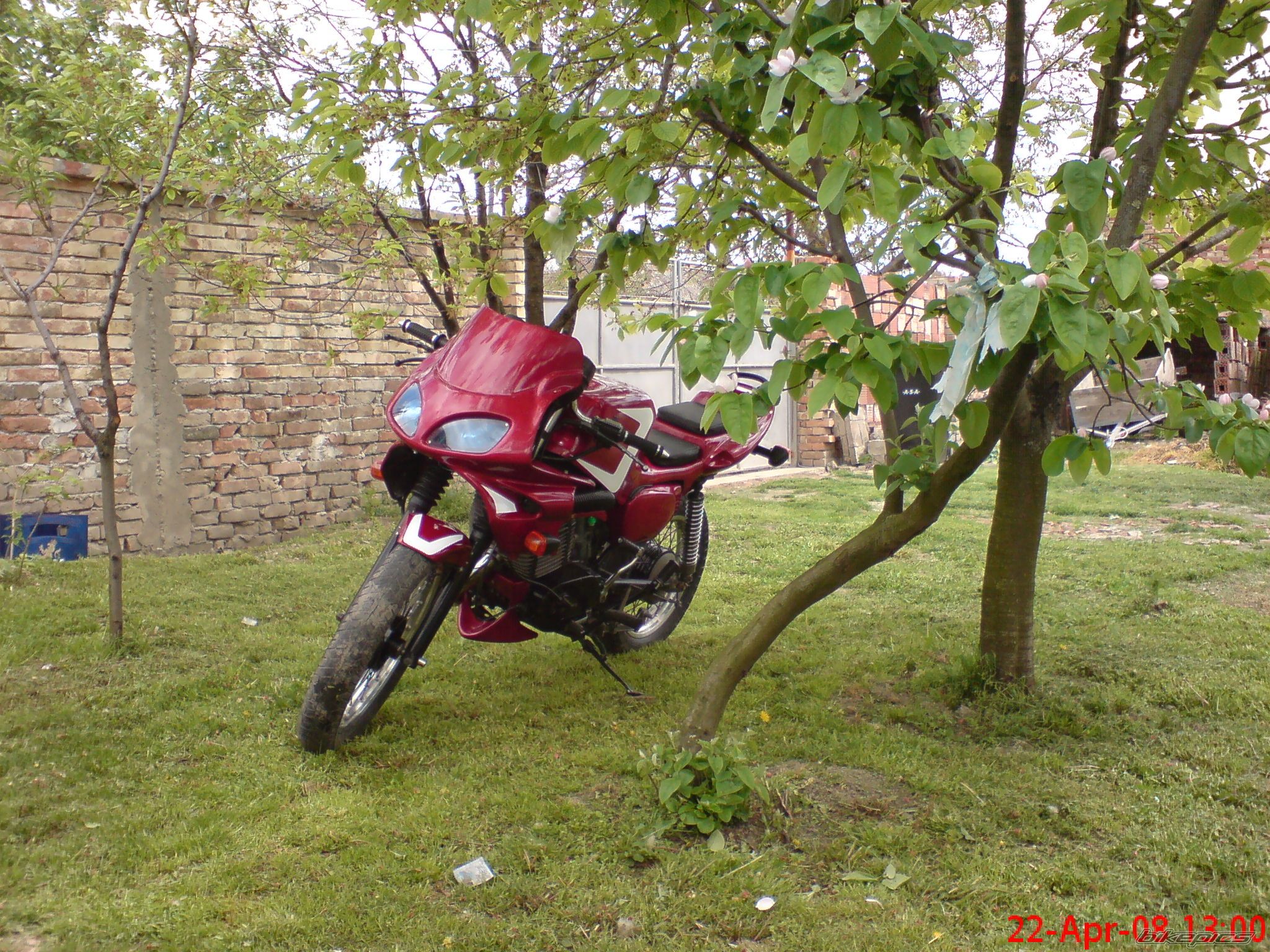 Photo 1284001