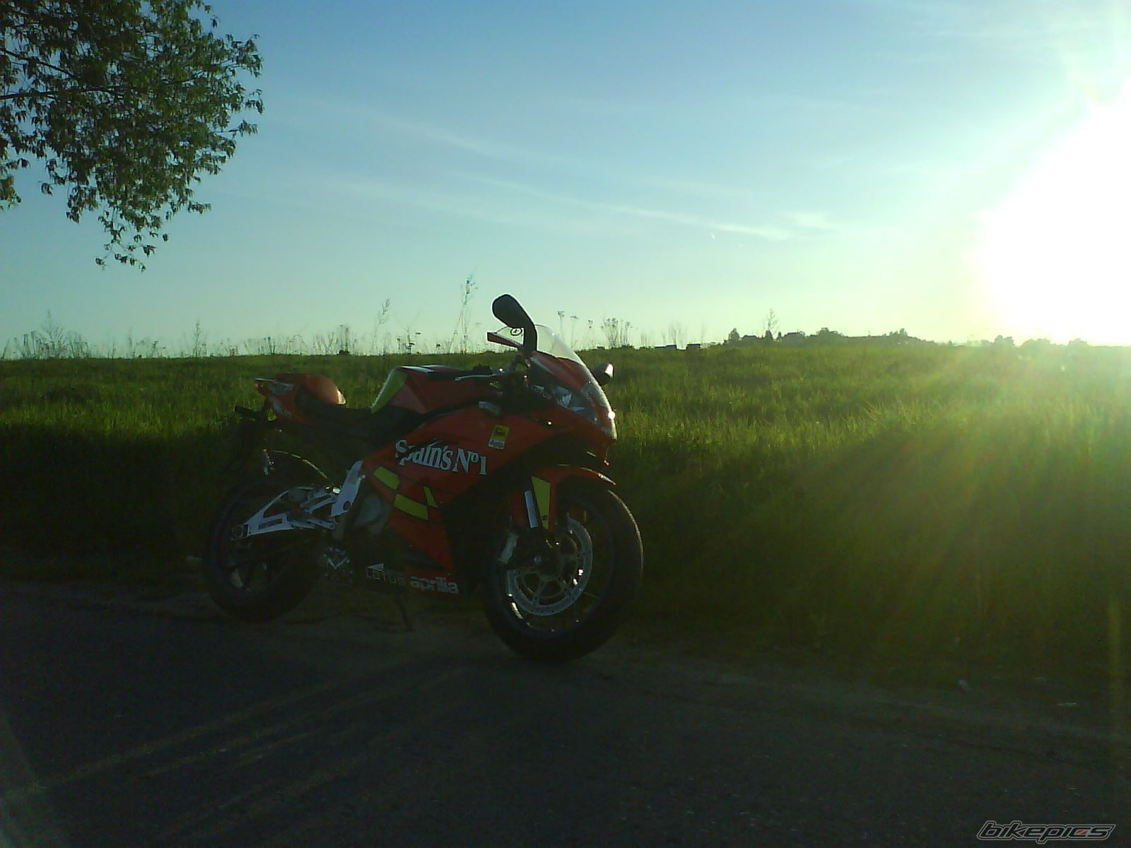 Photo 1284019