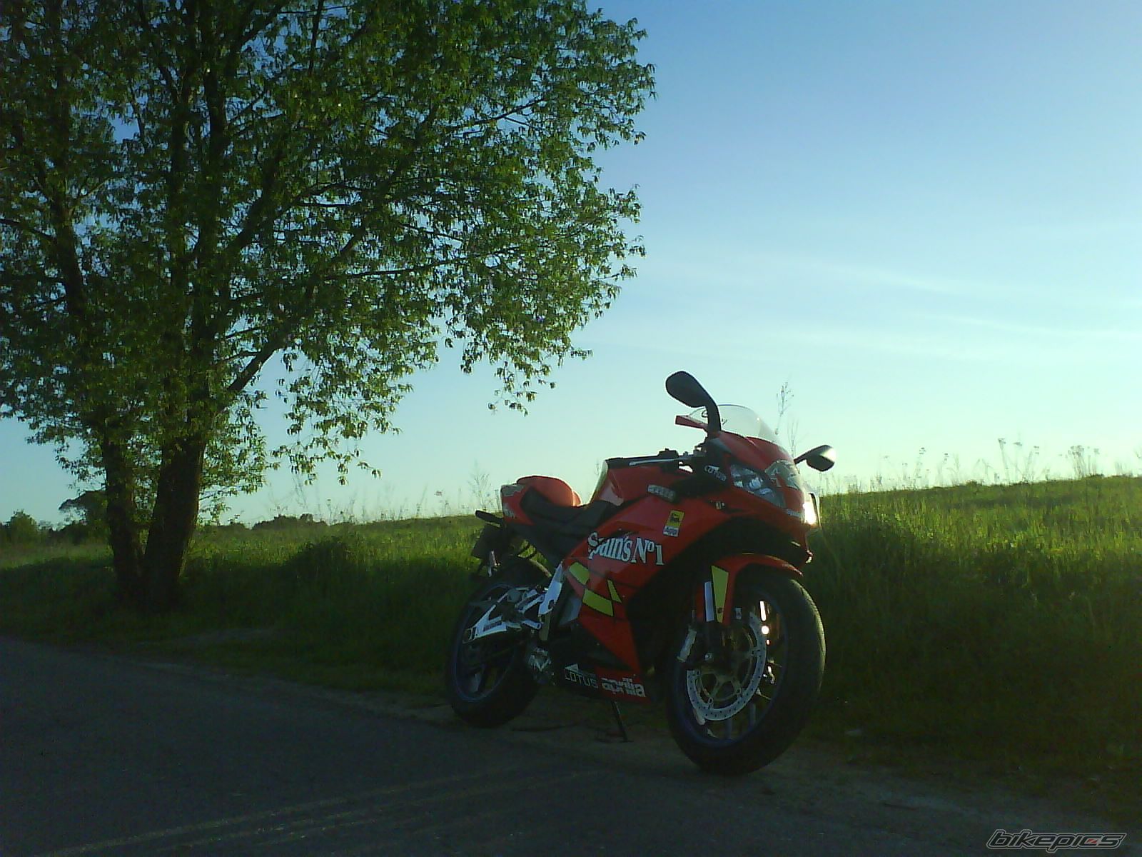 Photo 1284021