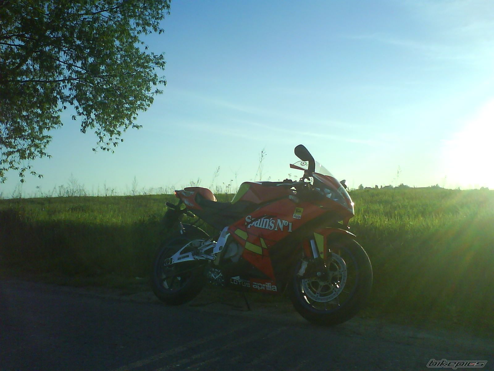 Photo 1284023