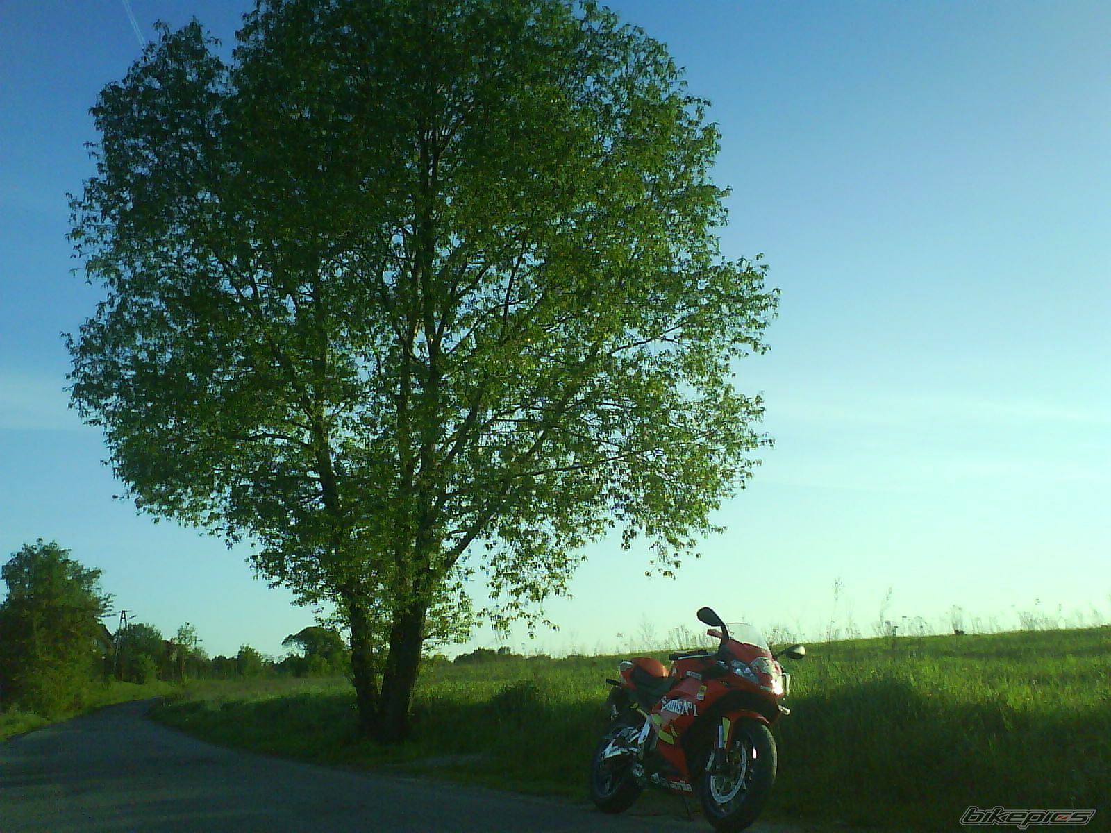 Photo 1284025