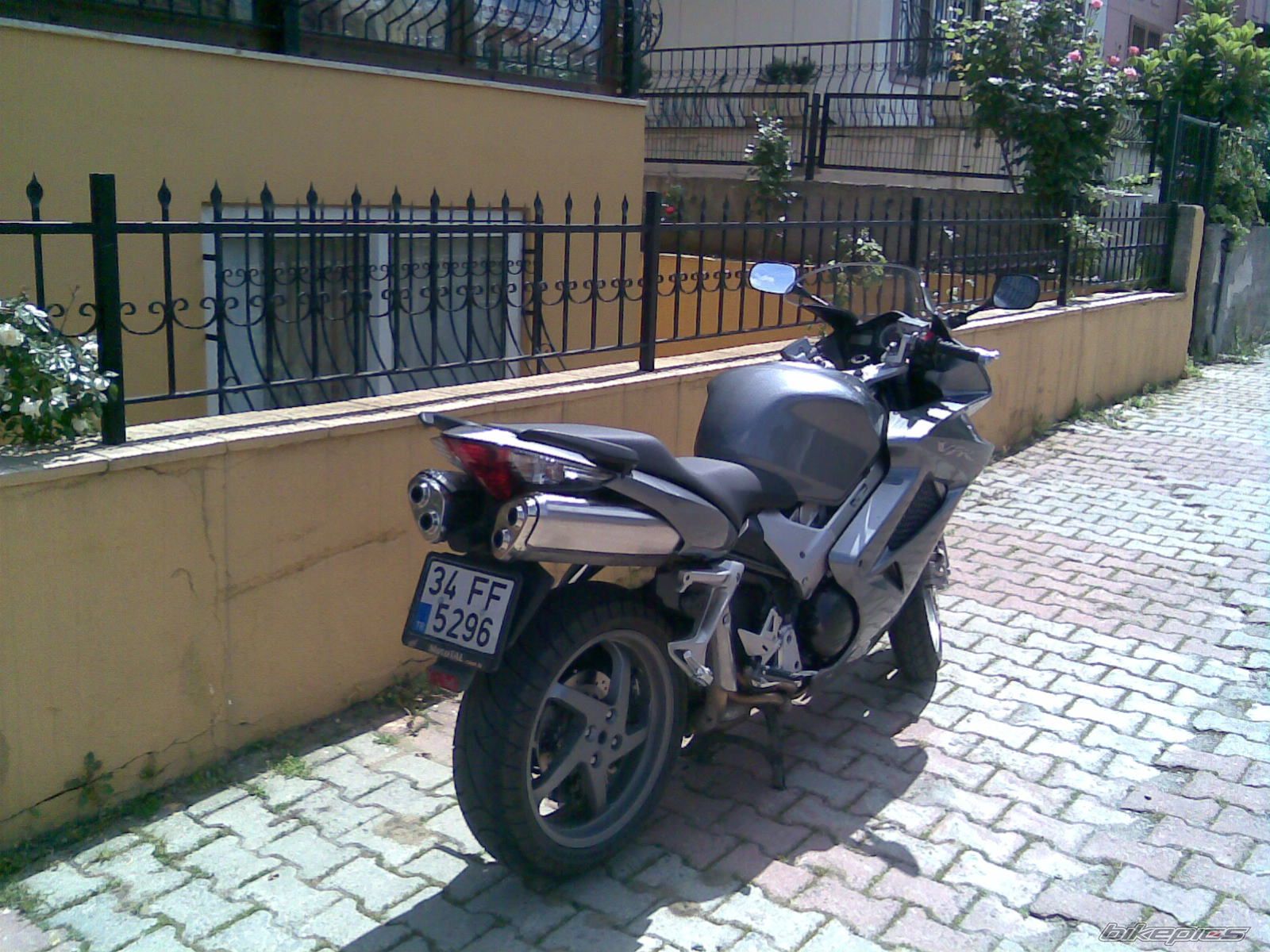 Photo 1284048