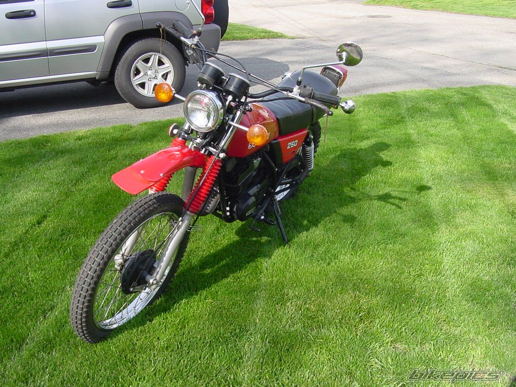 Photo 1284054