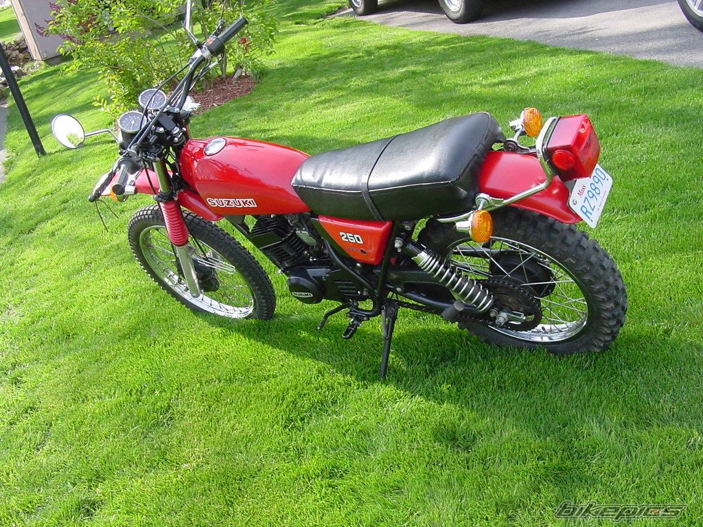 Photo 1284065
