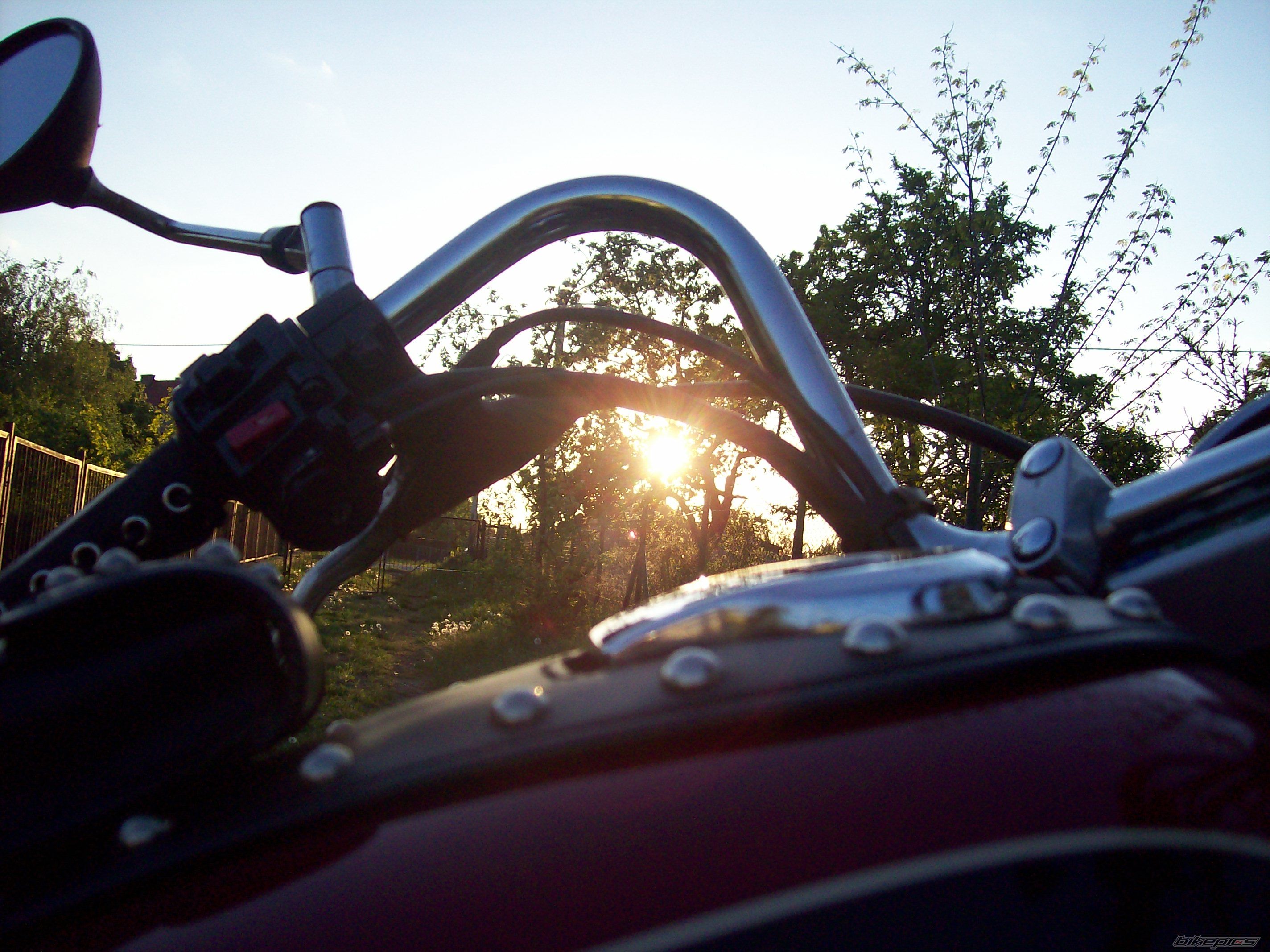 Photo 1284125
