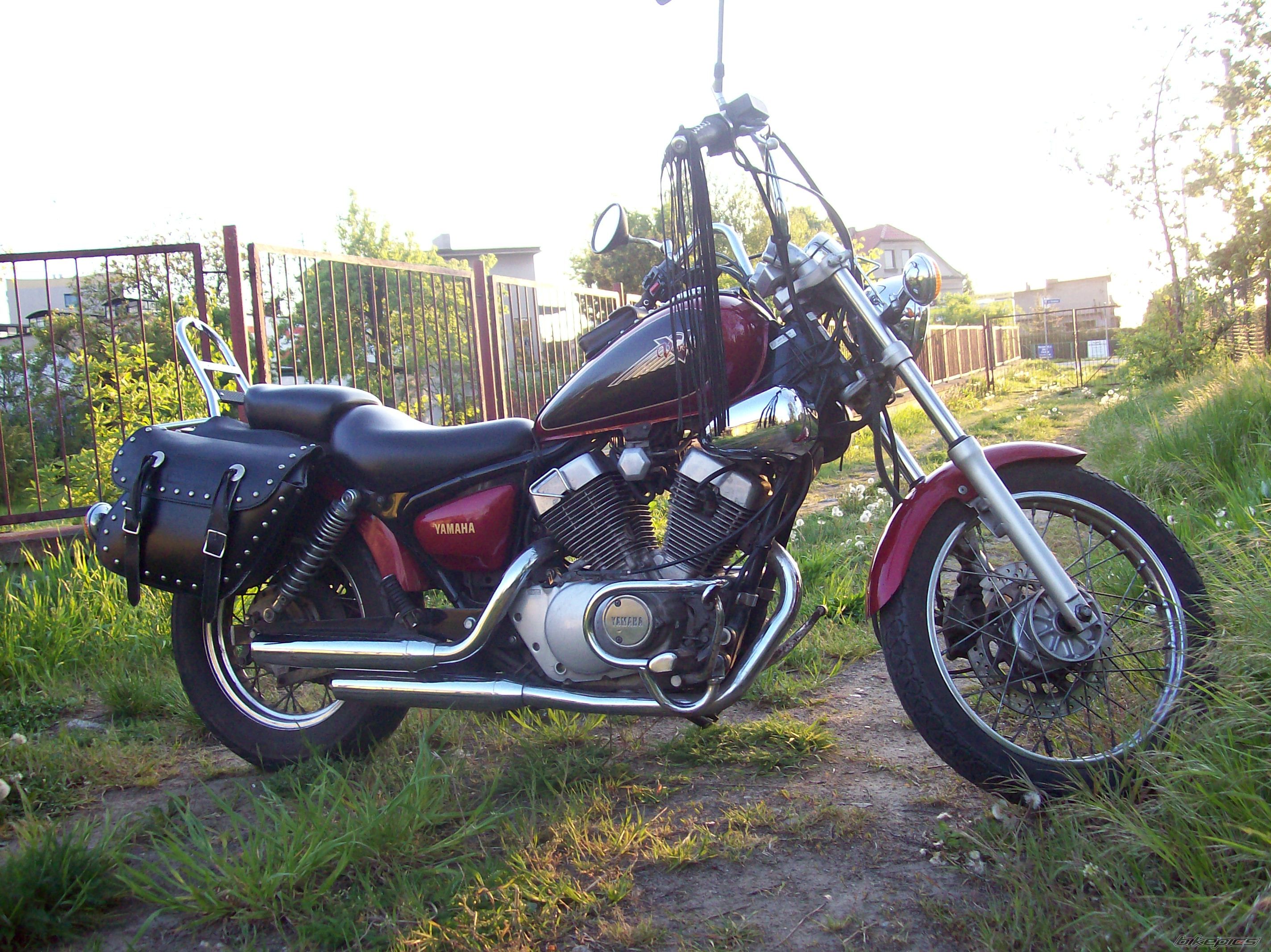Photo 1284127