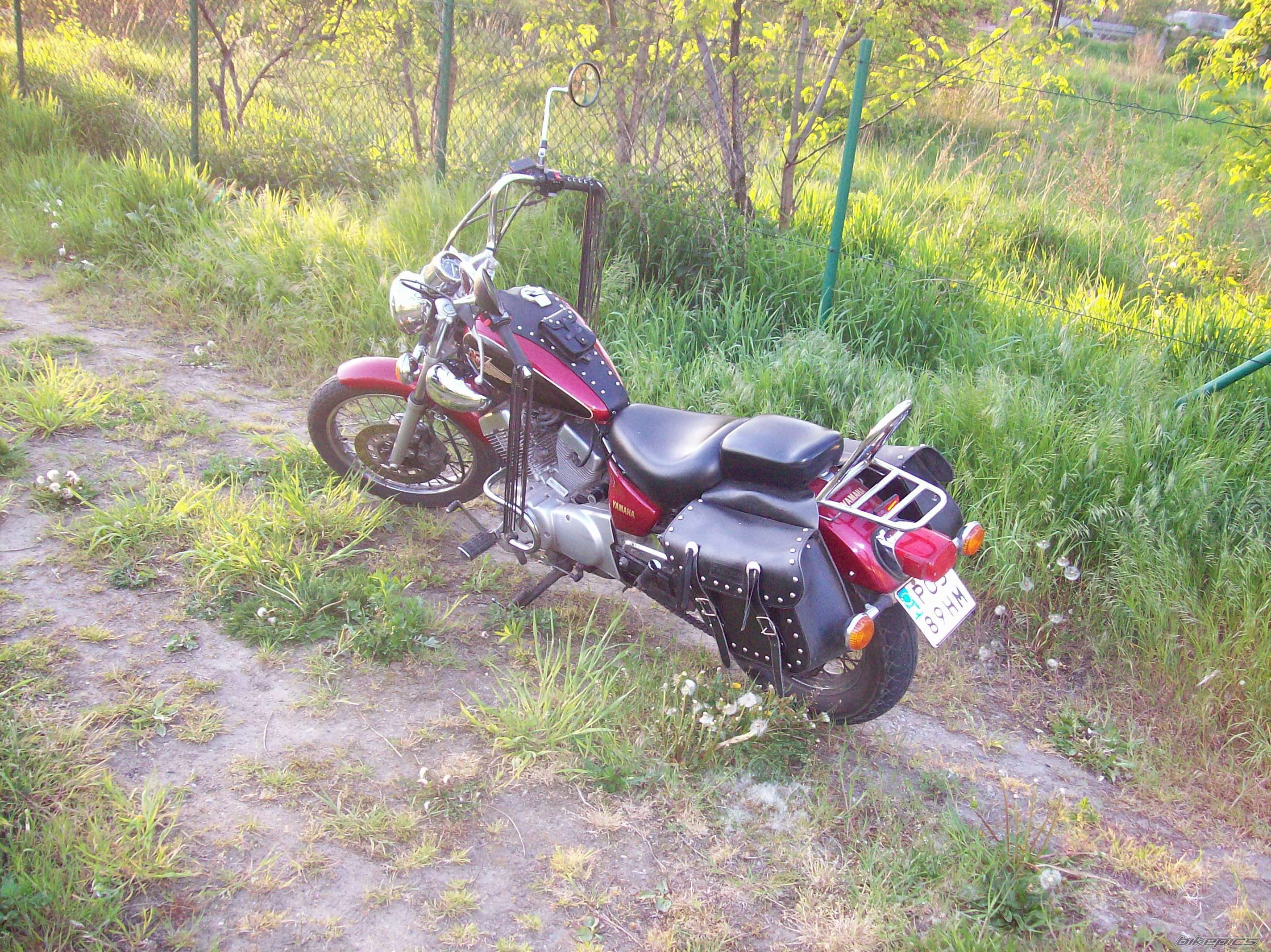 Photo 1284129