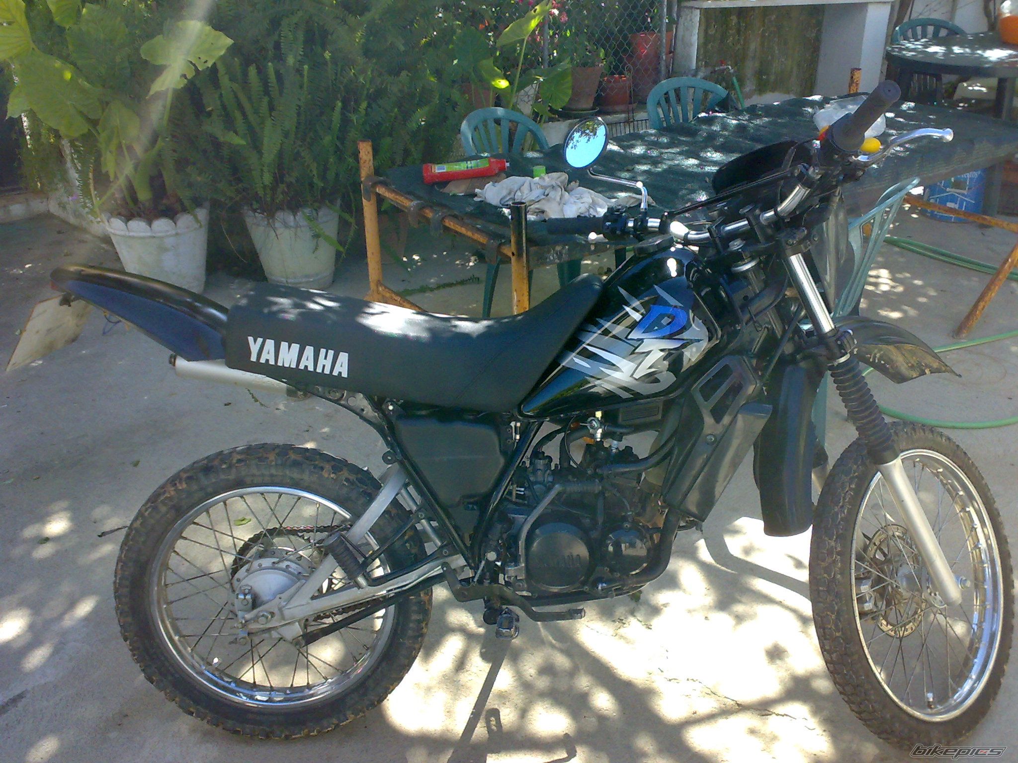 Photo 1284138