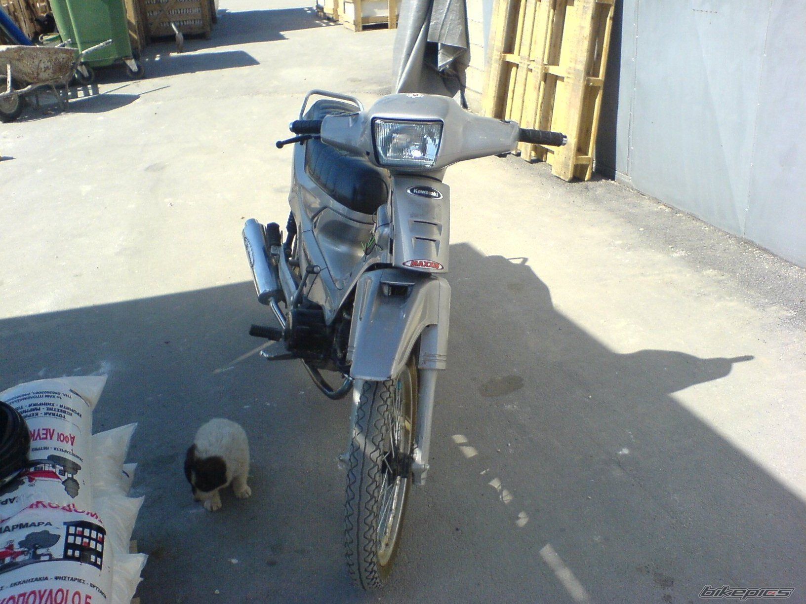Photo 1284192