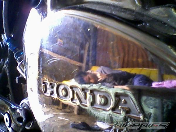 Photo 1284268