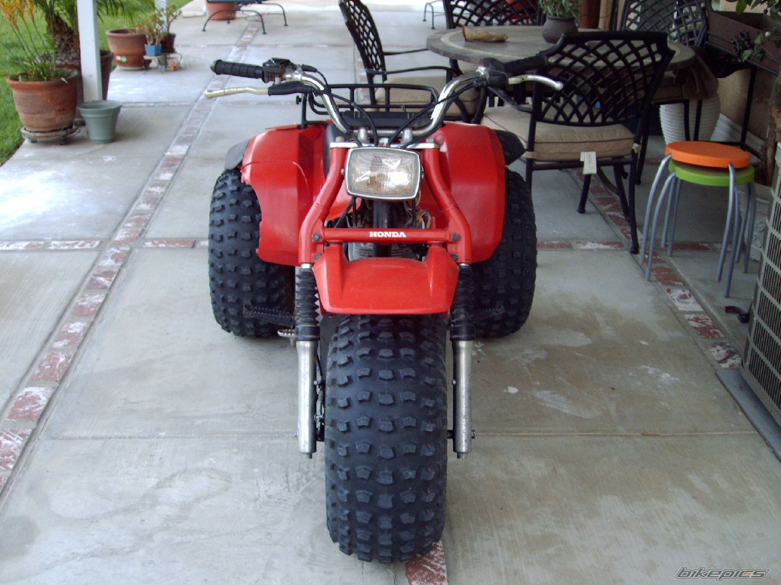 Photo 1284321