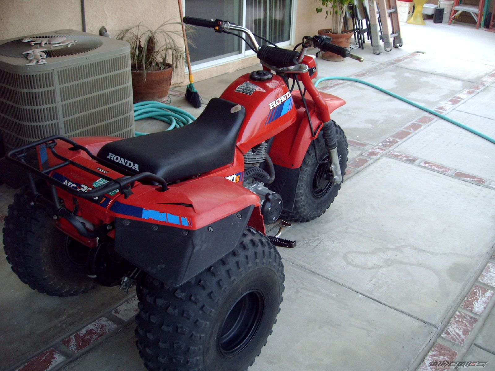 Photo 1284322