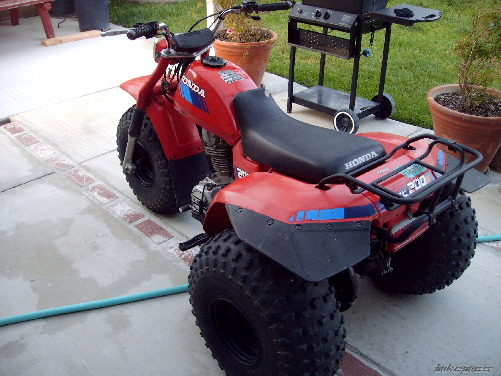 Photo 1284323