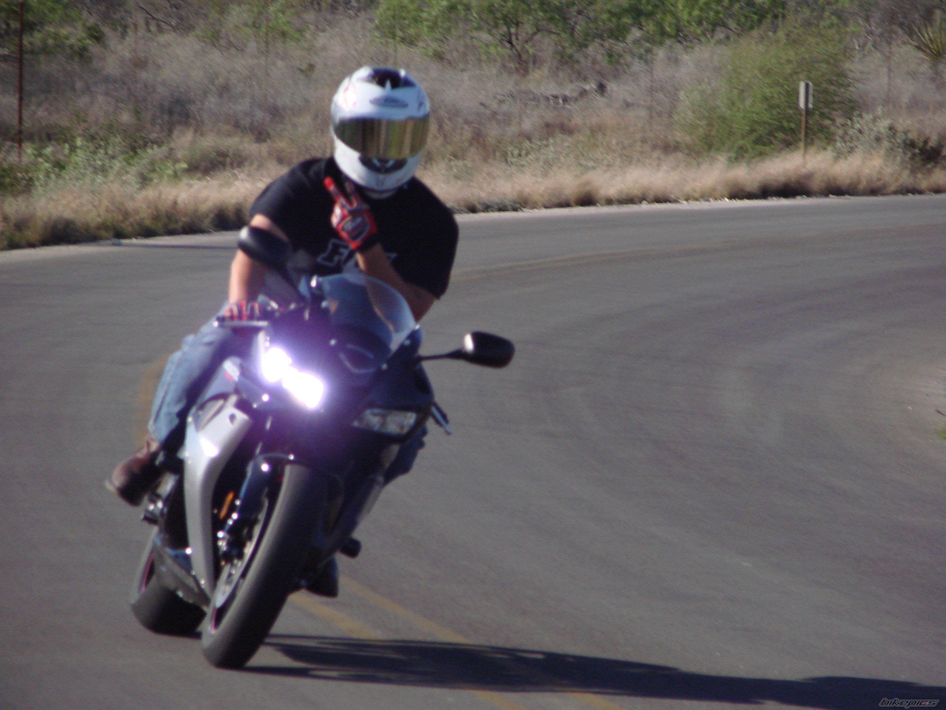 Photo 1284329