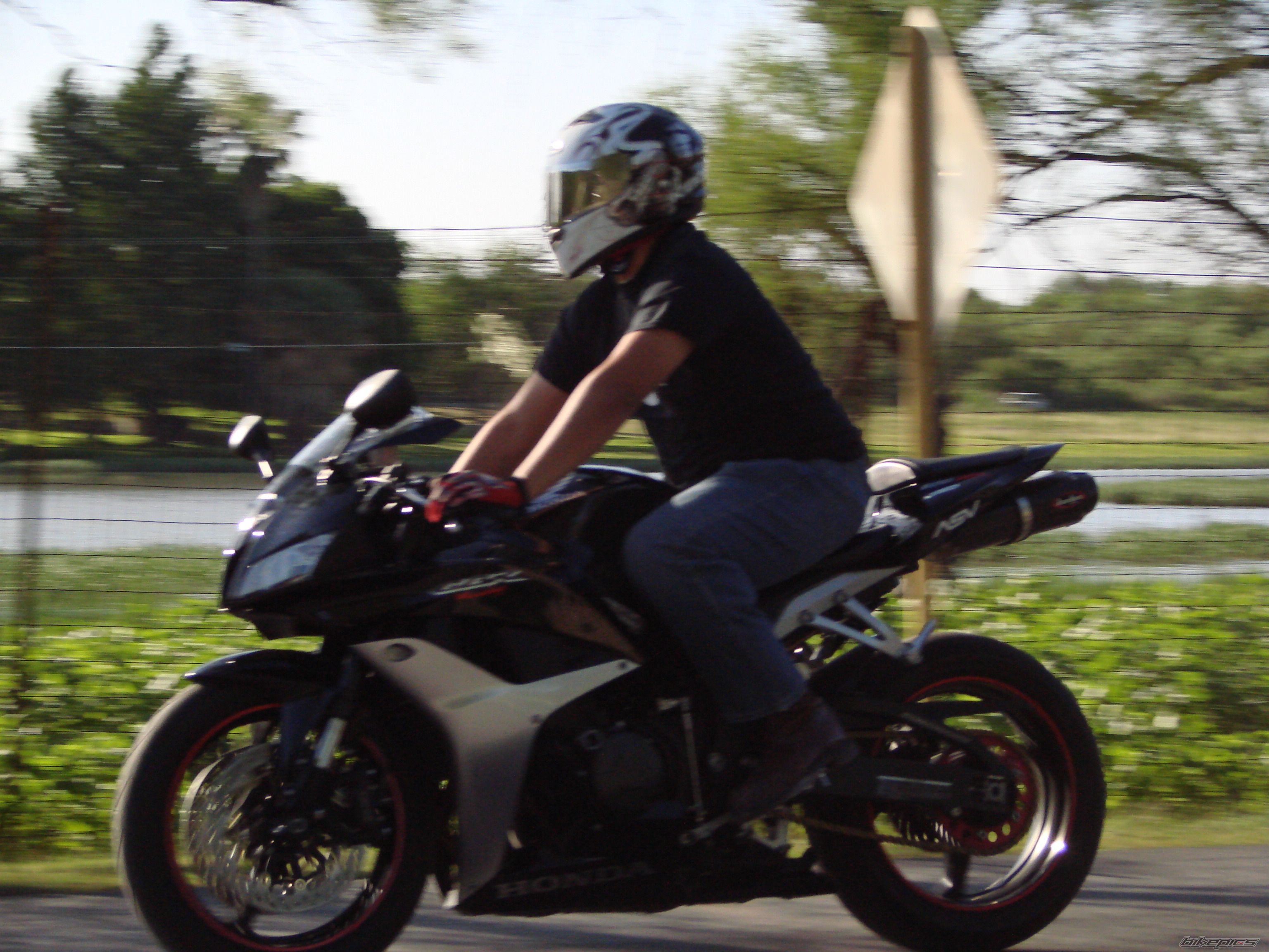 Photo 1284337