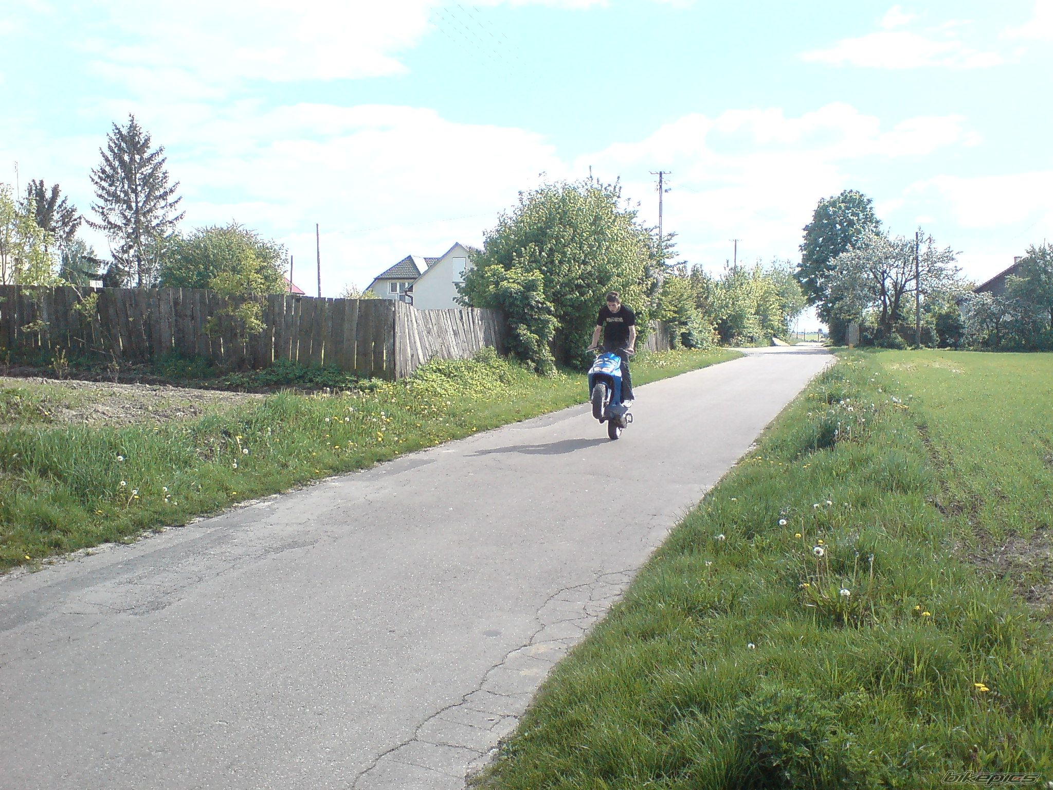 Photo 1284348