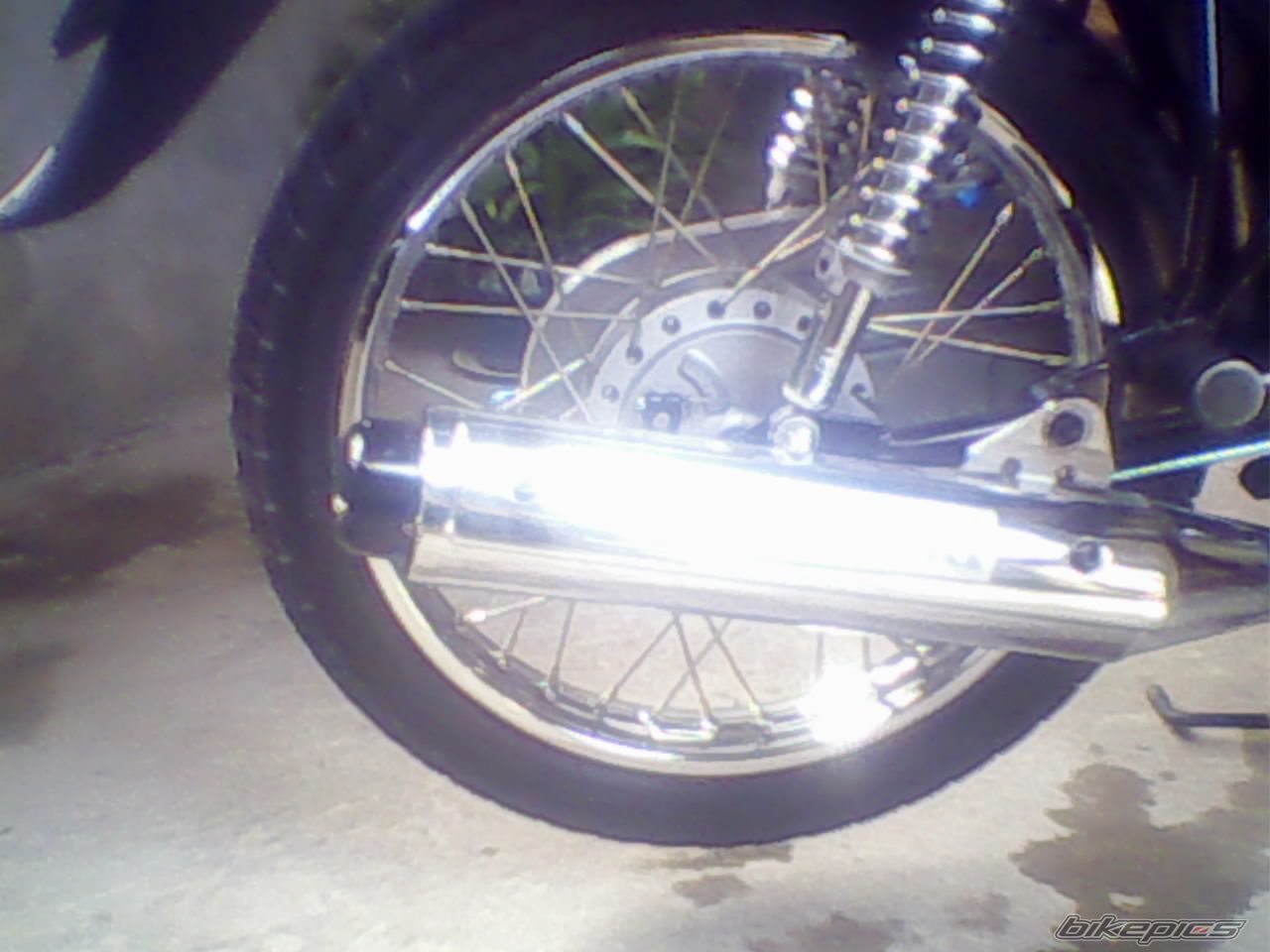 Photo 1284353