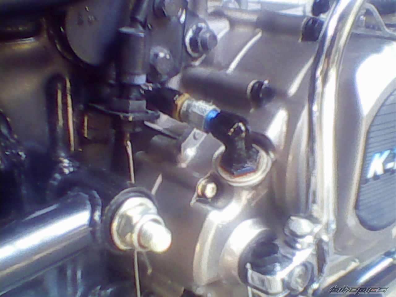 Photo 1284354