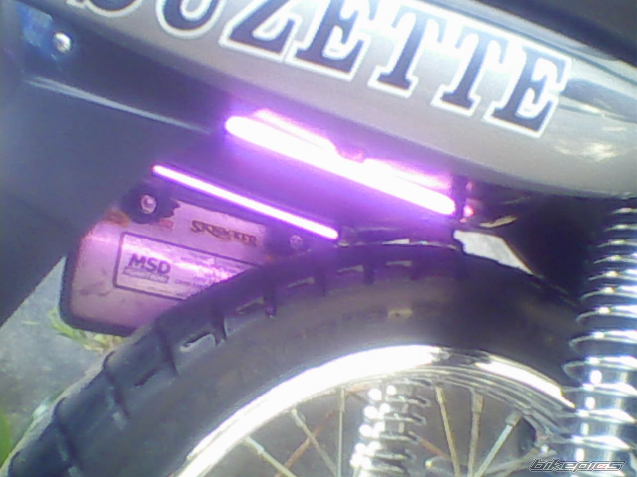 Photo 1284355