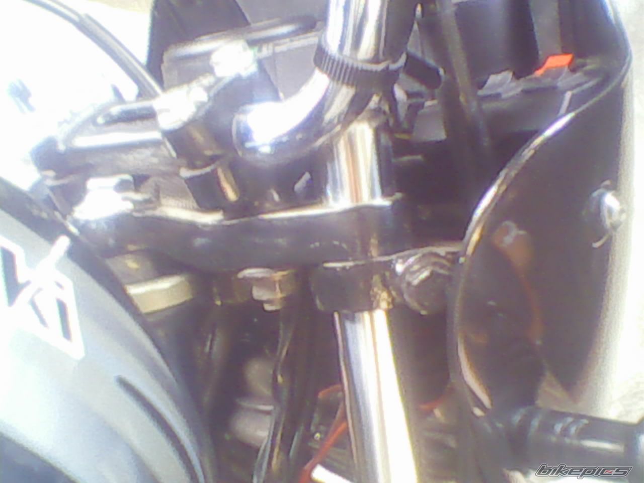 Photo 1284356