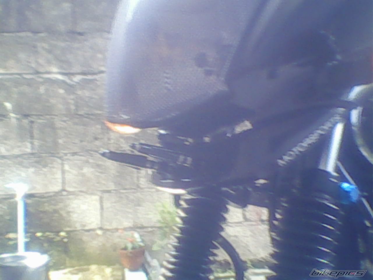 Photo 1284358