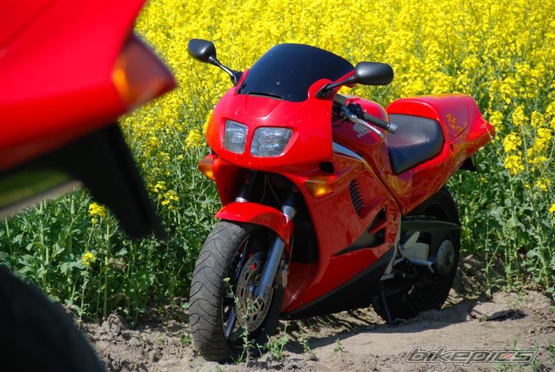 Photo 1284376
