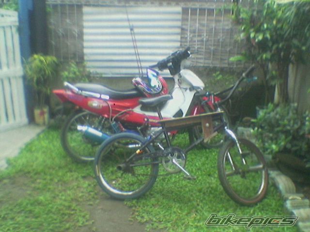 Photo 1284383