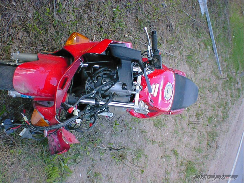 Photo 12844