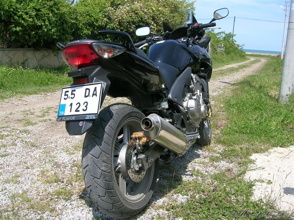 Photo 1284402