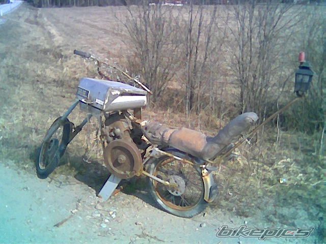 Photo 1284405