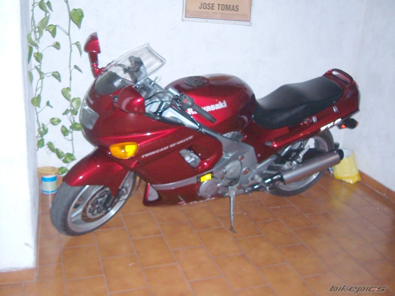 Photo 1284418