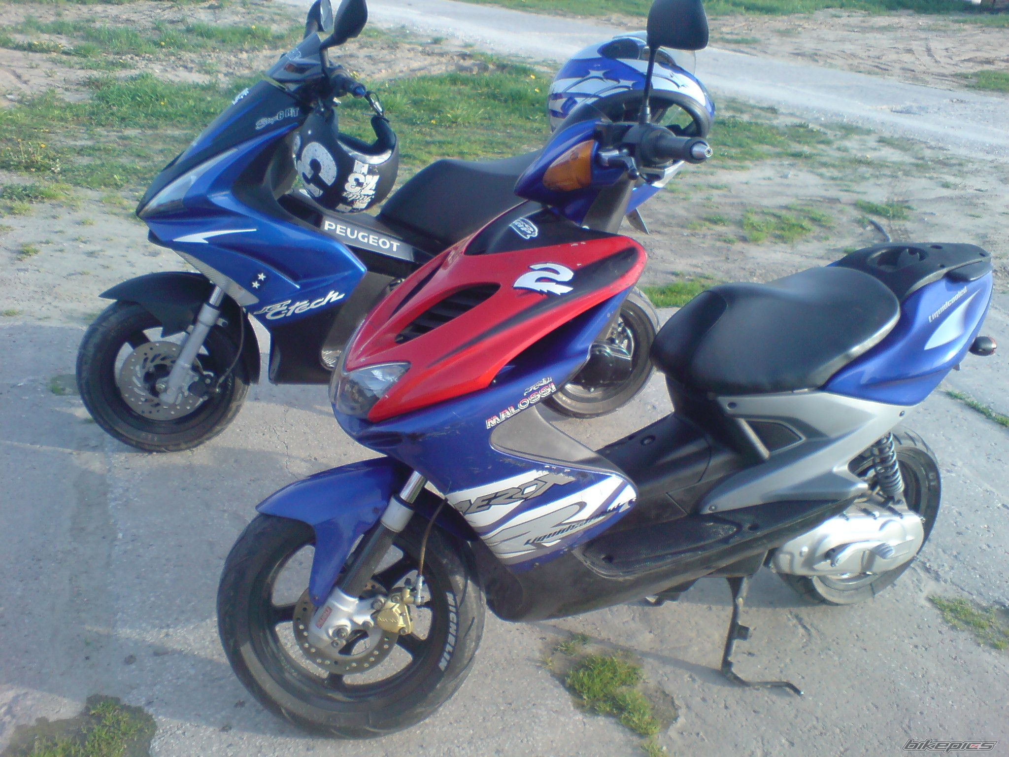 Photo 1284423